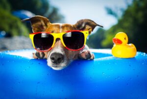 Summer Office Parties: Fun, Food… and a Few Things to Keep in Mind